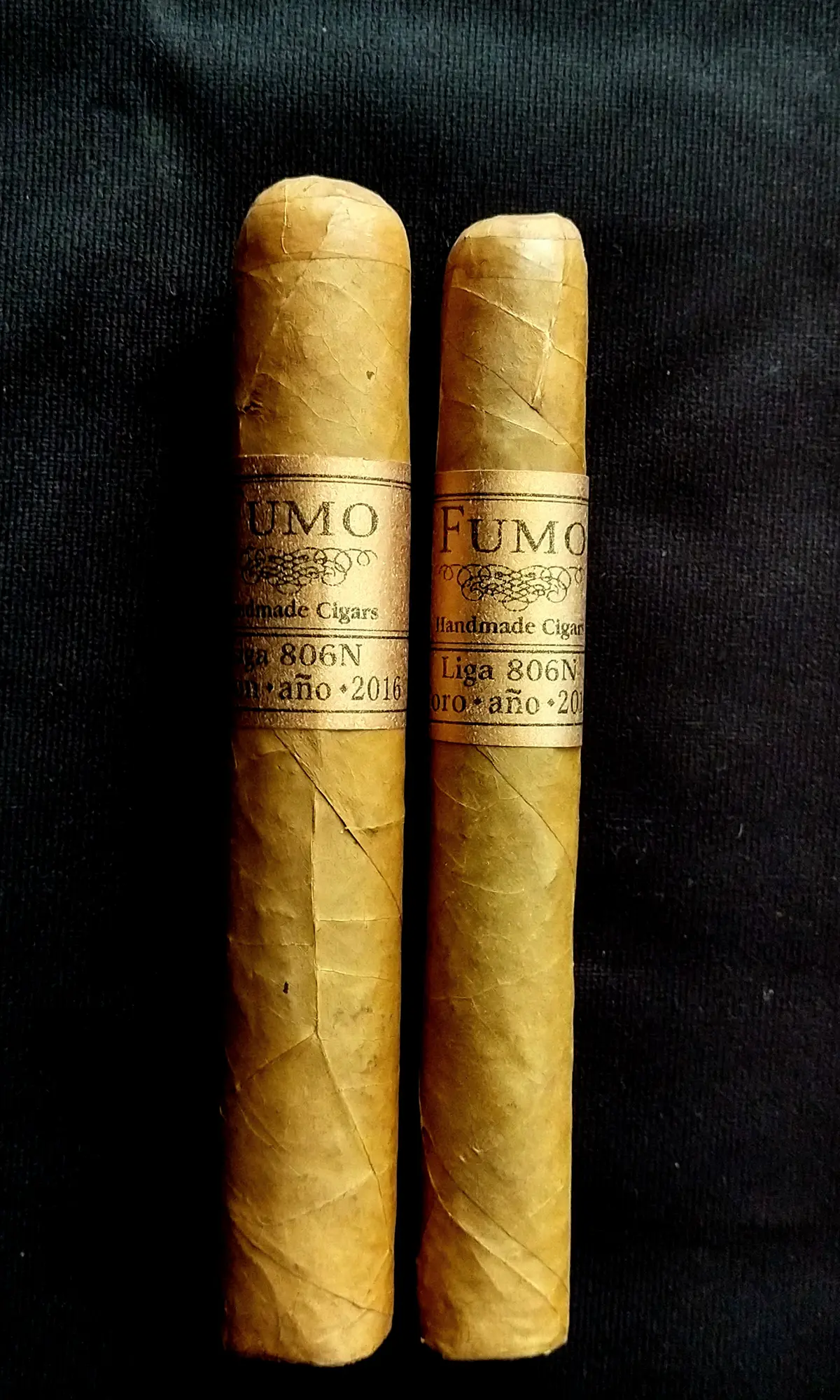 Liga-806N-ano-2016.-Patron-Toro-1.webp