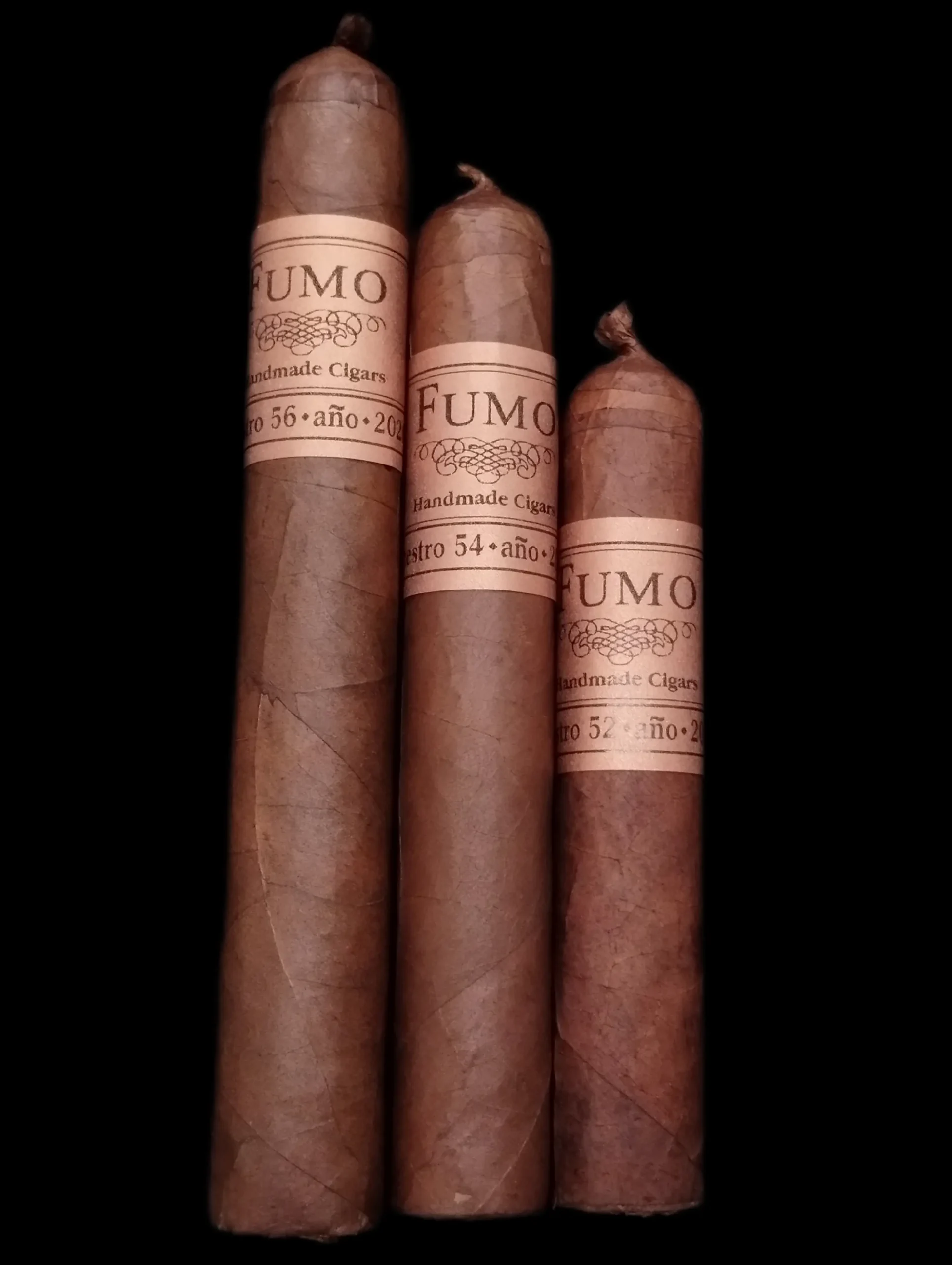 Maestro-ano-2020HN-Groupphoto-scaled-1.webp